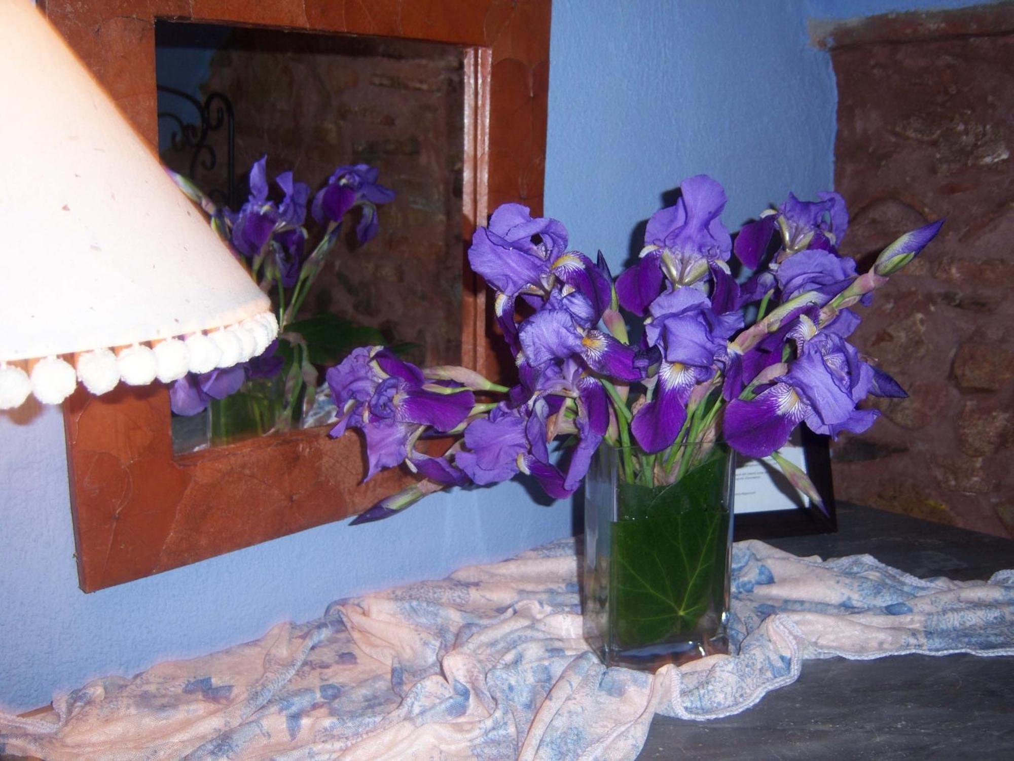Les Velles Escoles Hotel Les Irles Екстериор снимка